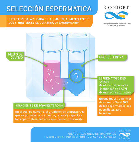 Seleccion-espermatica_info