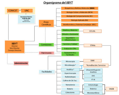 organigrama1-01-01